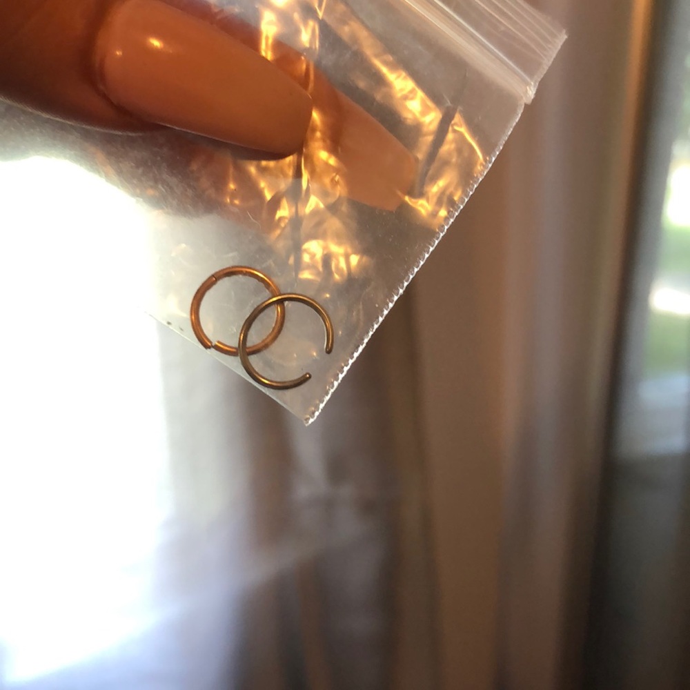 Two nose rings